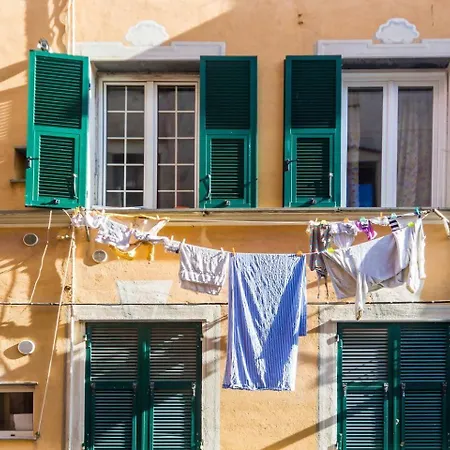 Lovingenoa Wood - Passion Genova