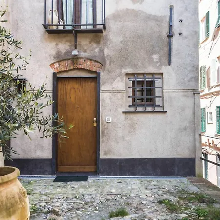 Lovingenoa Wood - Passion *