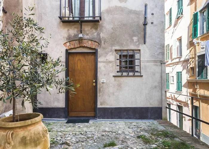 Lovingenoa Wood - Passion *